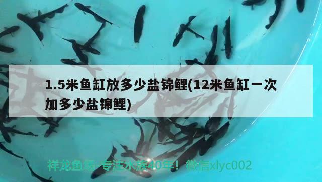 1.5米魚缸放多少鹽錦鯉(12米魚缸一次加多少鹽錦鯉) 祥龍傳奇品牌魚缸