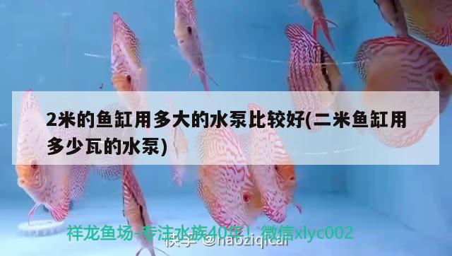 2米的魚缸用多大的水泵比較好(二米魚缸用多少瓦的水泵)