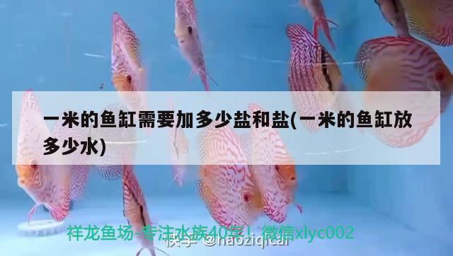 一米的魚缸需要加多少鹽和鹽(一米的魚缸放多少水)