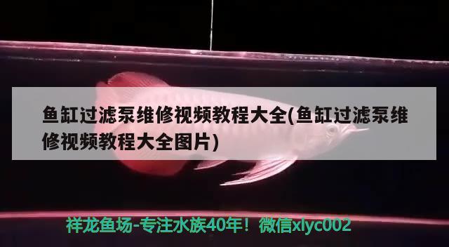 魚缸過濾泵維修視頻教程大全(魚缸過濾泵維修視頻教程大全圖片)