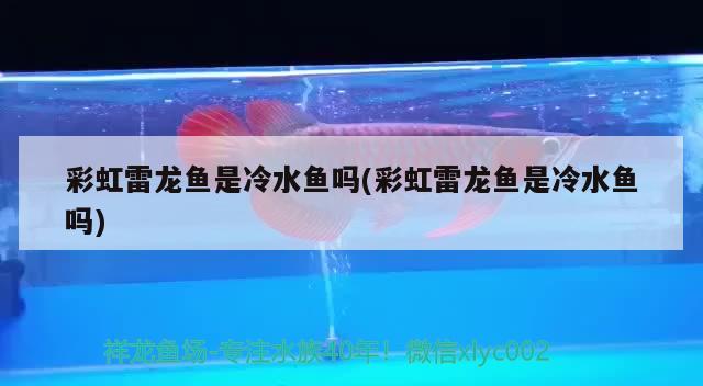 彩虹雷龍魚是冷水魚嗎(彩虹雷龍魚是冷水魚嗎) 觀賞魚 第2張