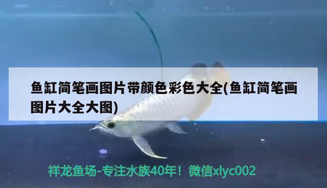 魚(yú)缸簡(jiǎn)筆畫(huà)圖片帶顏色彩色大全(魚(yú)缸簡(jiǎn)筆畫(huà)圖片大全大圖) 奈及利亞紅圓點(diǎn)狗頭 第2張