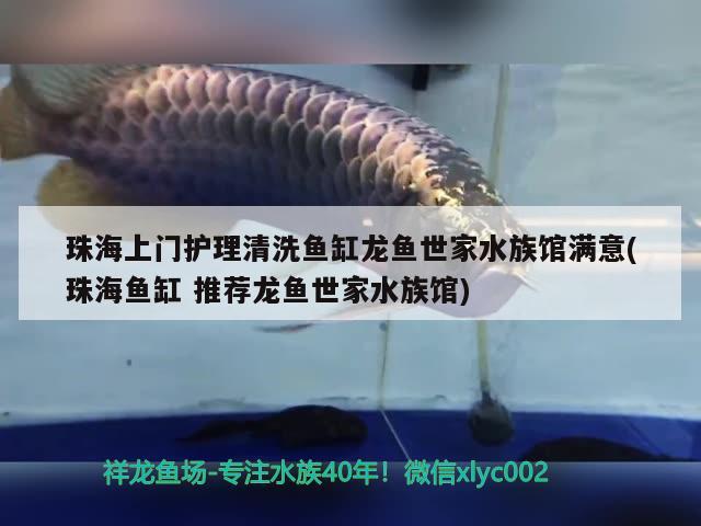 珠海上門護(hù)理清洗魚缸龍魚世家水族館滿意(珠海魚缸推薦龍魚世家水族館)