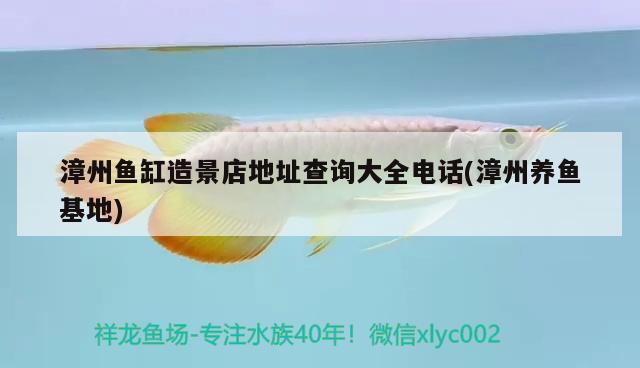 漳州魚(yú)缸造景店地址查詢(xún)大全電話(漳州養(yǎng)魚(yú)基地) 翡翠鳳凰魚(yú)