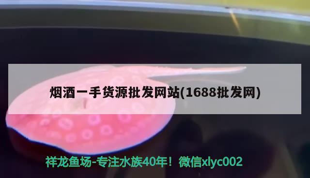 煙酒一手貨源批發(fā)網(wǎng)站(1688批發(fā)網(wǎng)) 觀賞魚