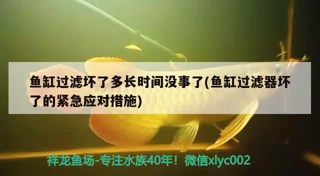 魚缸過濾壞了多長(zhǎng)時(shí)間沒事了(魚缸過濾器壞了的緊急應(yīng)對(duì)措施)