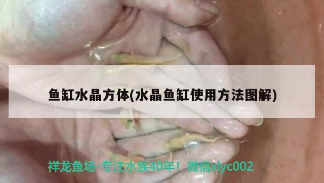 魚缸水晶方體(水晶魚缸使用方法圖解) 埃及神仙魚