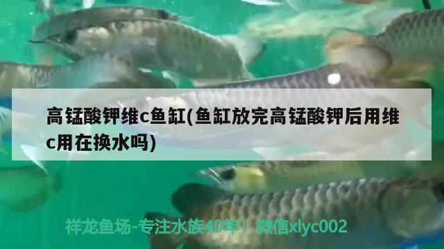 高錳酸鉀維c魚缸(魚缸放完高錳酸鉀后用維c用在換水嗎) 祥龍進(jìn)口元寶鳳凰魚