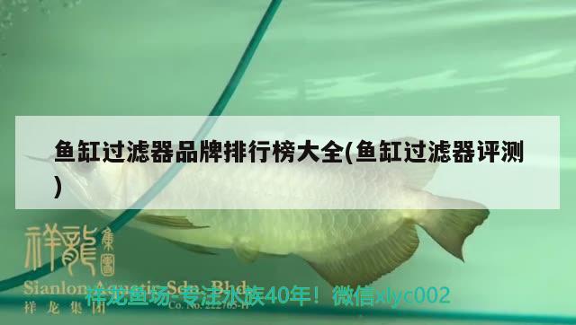 魚缸過濾器品牌排行榜大全(魚缸過濾器評測) 夢幻雷龍魚