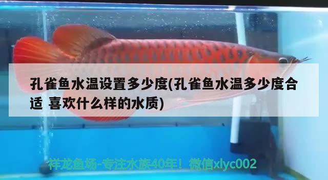 孔雀魚水溫設(shè)置多少度(孔雀魚水溫多少度合適喜歡什么樣的水質(zhì))