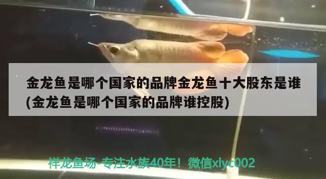 金龍魚是哪個國家的品牌金龍魚十大股東是誰(金龍魚是哪個國家的品牌誰控股)