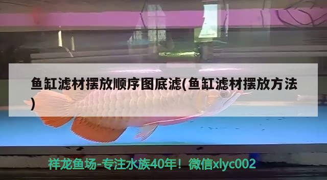 魚缸濾材擺放順序圖底濾(魚缸濾材擺放方法) 狗仔招財(cái)貓魚