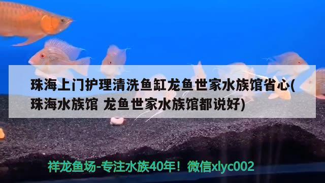 珠海上門護理清洗魚缸龍魚世家水族館省心(珠海水族館龍魚世家水族館都說好)