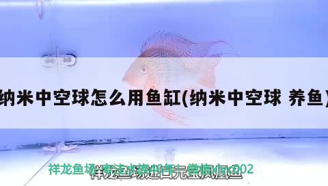 納米中空球怎么用魚缸(納米中空球養(yǎng)魚) 黃金貓魚百科