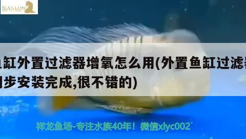 魚缸外置過濾器增氧怎么用(外置魚缸過濾器初步安裝完成,很不錯(cuò)的)