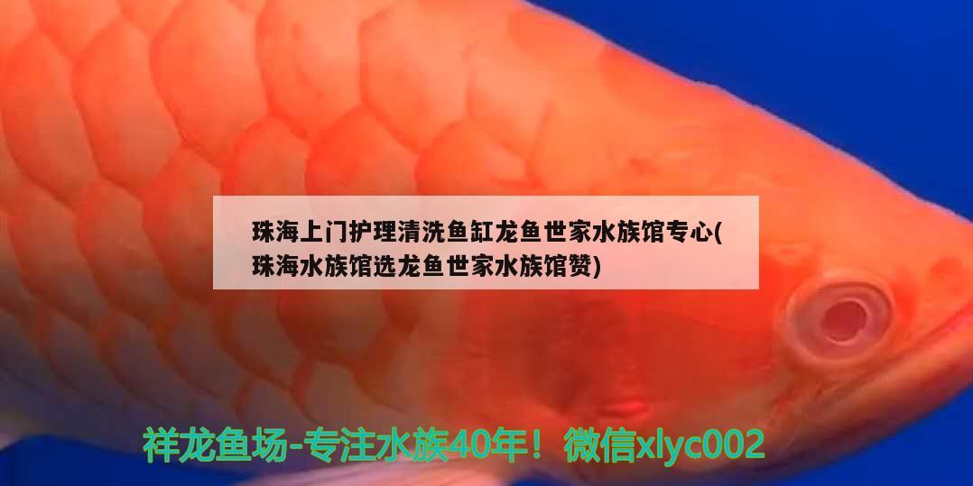 珠海上門護理清洗魚缸龍魚世家水族館專心(珠海水族館選龍魚世家水族館贊)