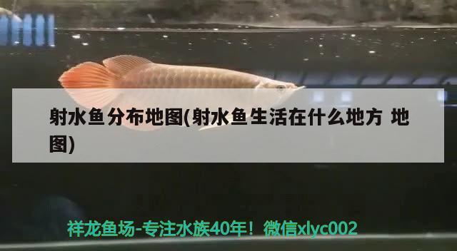 射水魚分布地圖(射水魚生活在什么地方地圖) 觀賞魚