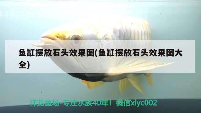 魚缸擺放石頭效果圖(魚缸擺放石頭效果圖大全)