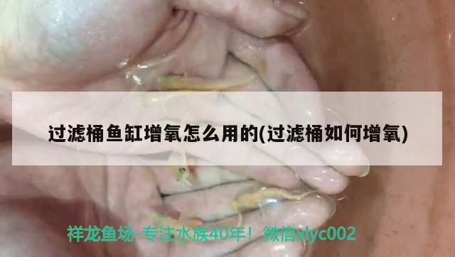 過濾桶魚缸增氧怎么用的(過濾桶如何增氧)