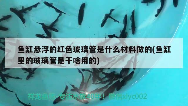 魚缸懸浮的紅色玻璃管是什么材料做的(魚缸里的玻璃管是干啥用的) 三間鼠魚苗