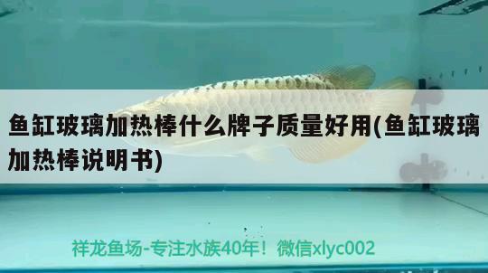 魚缸玻璃加熱棒什么牌子質(zhì)量好用(魚缸玻璃加熱棒說明書) 圣菲埃及魚