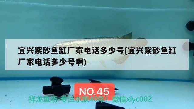 宜興紫砂魚缸廠家電話多少號(宜興紫砂魚缸廠家電話多少號啊) 南美異型魚