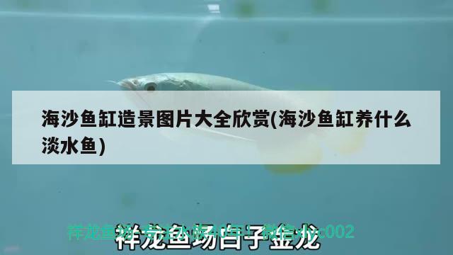 海沙魚缸造景圖片大全欣賞(海沙魚缸養(yǎng)什么淡水魚) 魚缸水泵