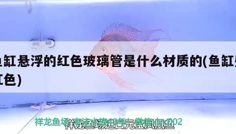 魚缸懸浮的紅色玻璃管是什么材質(zhì)的(魚缸壁紅色) 白化火箭