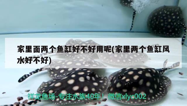 家里面兩個魚缸好不好用呢(家里兩個魚缸風(fēng)水好不好) 魚缸風(fēng)水