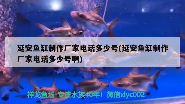 延安魚缸制作廠家電話多少號(hào)(延安魚缸制作廠家電話多少號(hào)啊)