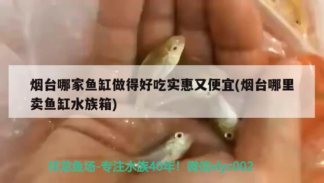 煙臺哪家魚缸做得好吃實惠又便宜(煙臺哪里賣魚缸水族箱)