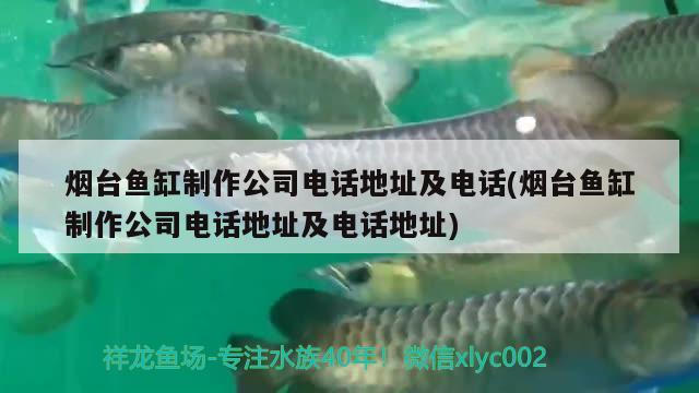 煙臺(tái)魚缸制作公司電話地址及電話(煙臺(tái)魚缸制作公司電話地址及電話地址)