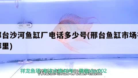 邢臺沙河魚缸廠電話多少號(邢臺魚缸市場在哪里)