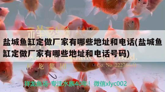 鹽城魚缸定做廠家有哪些地址和電話(鹽城魚缸定做廠家有哪些地址和電話號碼) 慈雕魚 第2張