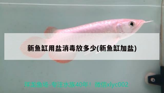 新魚缸用鹽消毒放多少(新魚缸加鹽) 觀賞魚魚苗