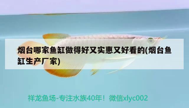 煙臺哪家魚缸做得好又實惠又好看的(煙臺魚缸生產(chǎn)廠家) 白子紅龍魚