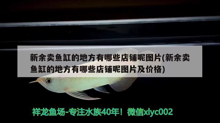 新余賣魚缸的地方有哪些店鋪呢圖片(新余賣魚缸的地方有哪些店鋪呢圖片及價格) 豹紋夫魚苗