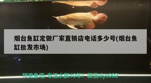 煙臺魚缸定做廠家直銷店電話多少號(煙臺魚缸批發(fā)市場)