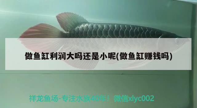 做魚缸利潤(rùn)大嗎還是小呢(做魚缸賺錢嗎)