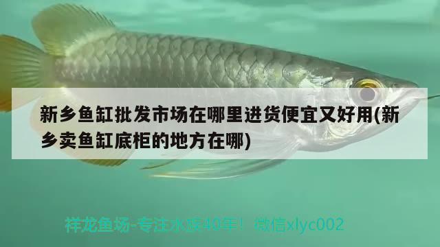 新鄉(xiāng)魚缸批發(fā)市場在哪里進(jìn)貨便宜又好用(新鄉(xiāng)賣魚缸底柜的地方在哪)