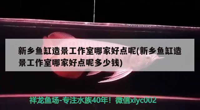 新鄉(xiāng)魚缸造景工作室哪家好點呢(新鄉(xiāng)魚缸造景工作室哪家好點呢多少錢) 其它水族用具設(shè)備