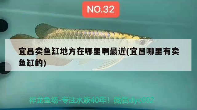 宜昌賣魚缸地方在哪里啊最近(宜昌哪里有賣魚缸的)