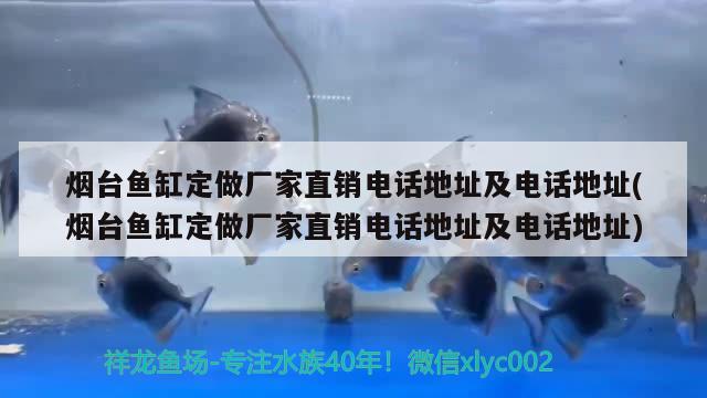 煙臺魚缸定做廠家直銷電話地址及電話地址(煙臺魚缸定做廠家直銷電話地址及電話地址) 水族雜談