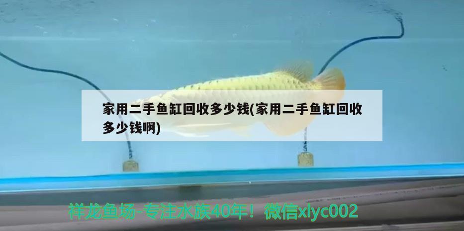 家用二手魚缸回收多少錢(家用二手魚缸回收多少錢啊)