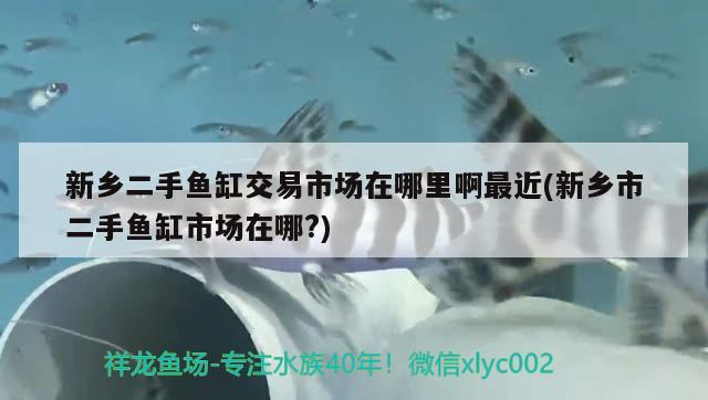 新鄉(xiāng)二手魚缸交易市場在哪里啊最近(新鄉(xiāng)市二手魚缸市場在哪?) 巴西亞魚苗