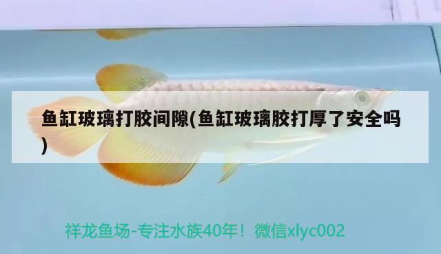 魚缸玻璃打膠間隙(魚缸玻璃膠打厚了安全嗎) 溫控設(shè)備