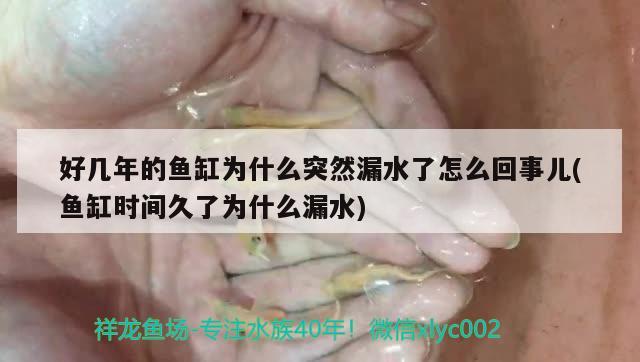 好幾年的魚缸為什么突然漏水了怎么回事兒(魚缸時間久了為什么漏水) 黃金河虎魚