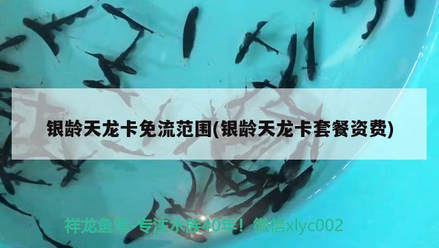 銀齡天龍卡免流范圍(銀齡天龍卡套餐資費(fèi)) 觀賞魚