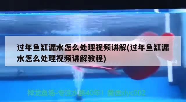 過年魚缸漏水怎么處理視頻講解(過年魚缸漏水怎么處理視頻講解教程) 2024第28屆中國國際寵物水族展覽會CIPS（長城寵物展2024 CIPS）