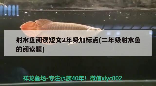 射水魚閱讀短文2年級加標(biāo)點(diǎn)(二年級射水魚的閱讀題) 觀賞魚